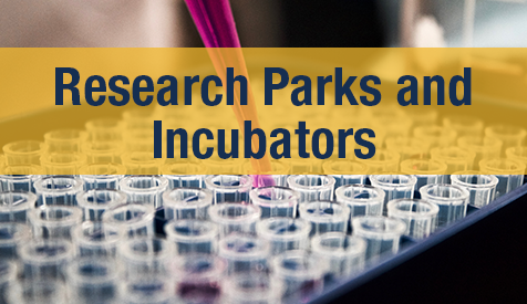Research Parks and Incubators